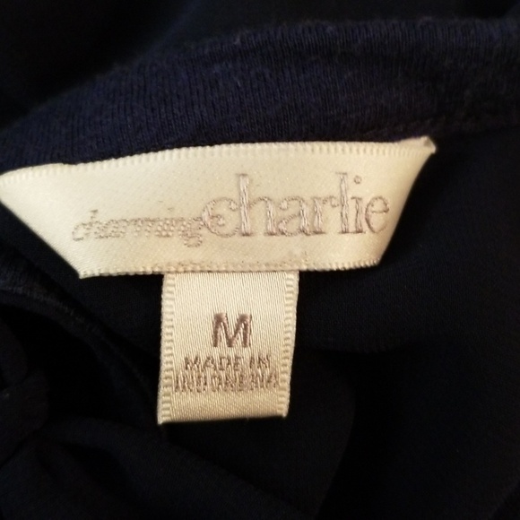 SALE 😍 4/$15!* EUC Charming Charlie's Sheer/Bow Back Tee - Picture 4 of 6